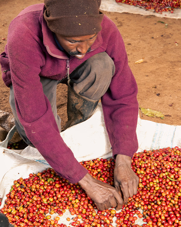 Kenya Mugaya